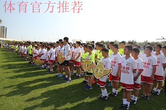 “青禾杯”2016全国青少年足球冠军杯赛开幕 “青禾杯”2016全国青少年足球冠军杯赛开幕