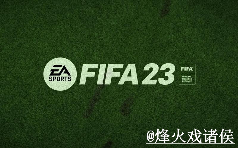 2026世界杯手机下注平台选择，使用体验和新手选择说明